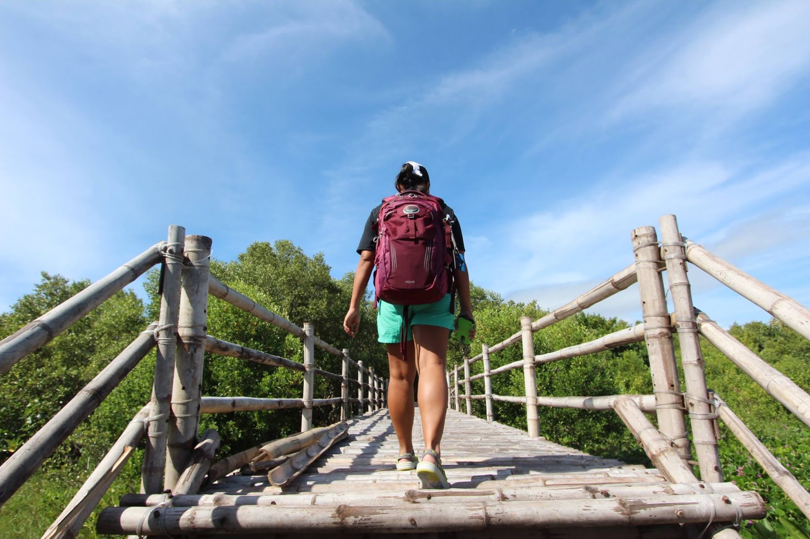 Osprey packs nova 2024 daypack